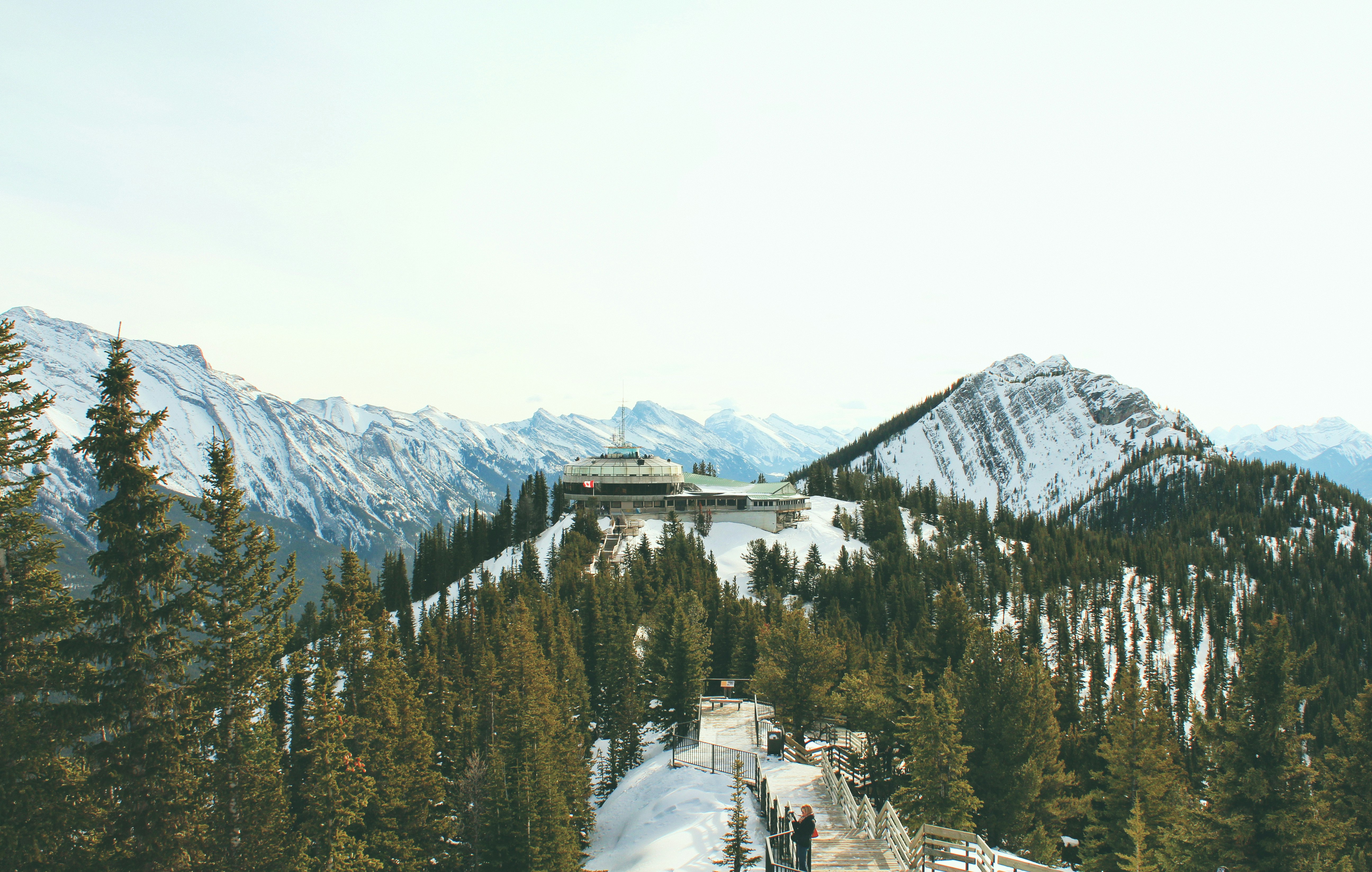 green pine trees on mountain with snow at daytime